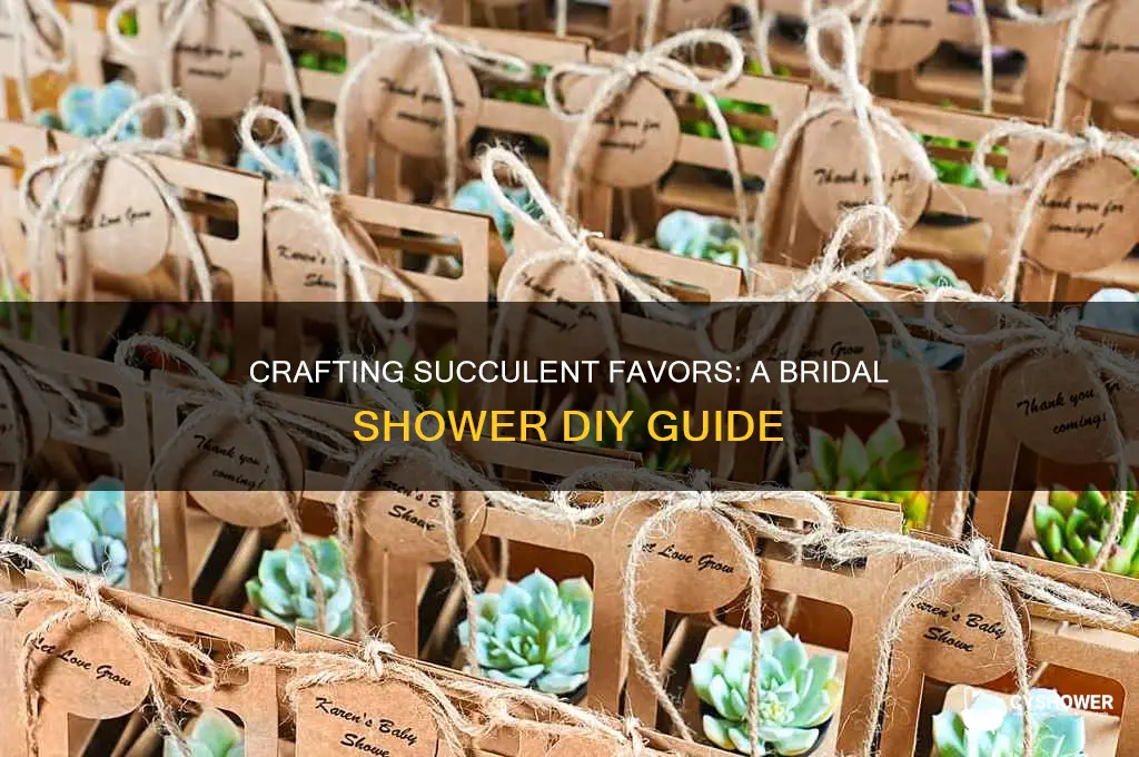 how to make a succulent for bridal shower