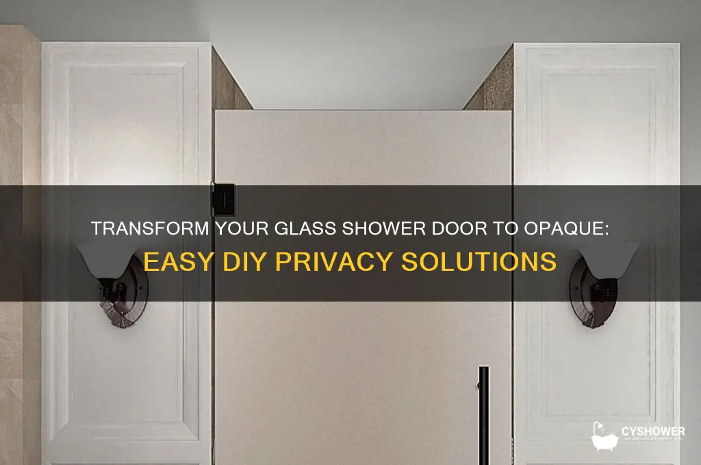 how to make glass shower door opaque