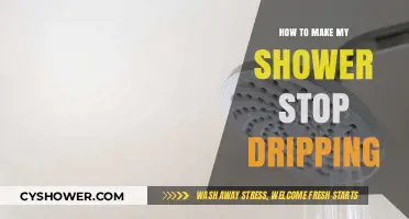 Silencing the Drip: A Guide to Fixing Your Shower