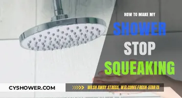 Silencing the Squeak: A Guide to a Quieter Shower Experience