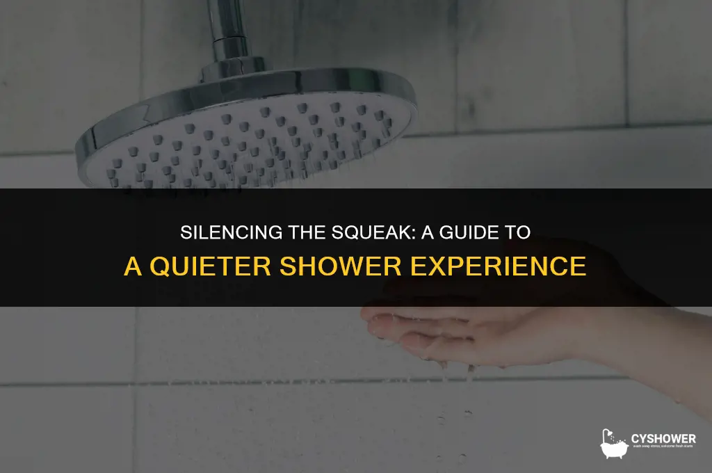 how to make my shower stop squeaking