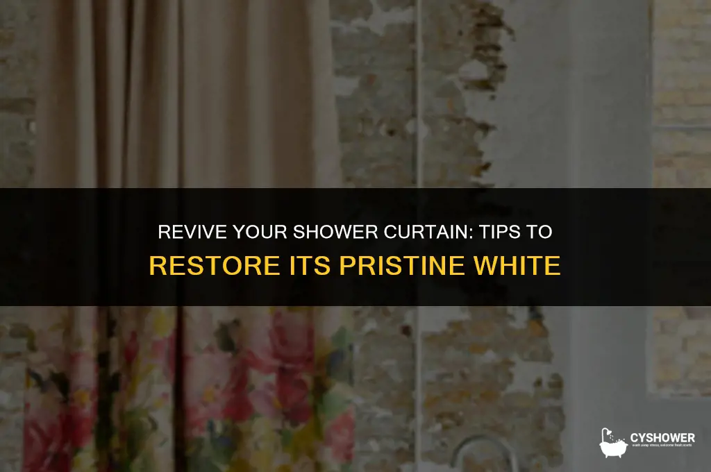 how to make old shower curtainlook white again
