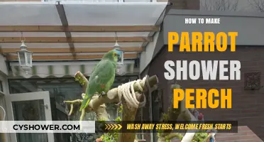 DIY Parrot Shower Perch: A Step-by-Step Guide
