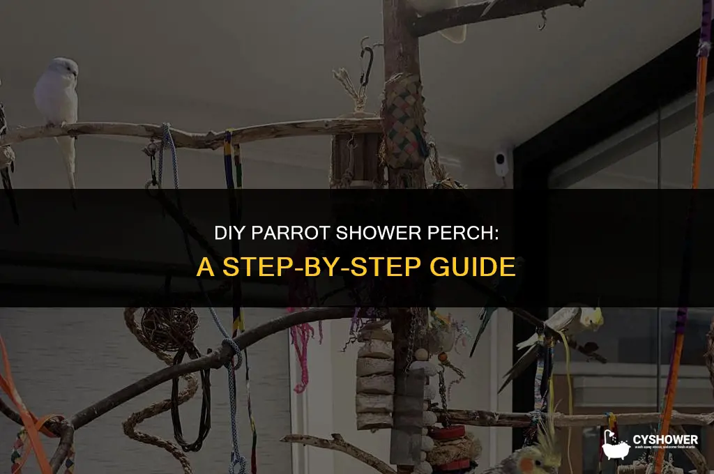 how to make parrot shower perch