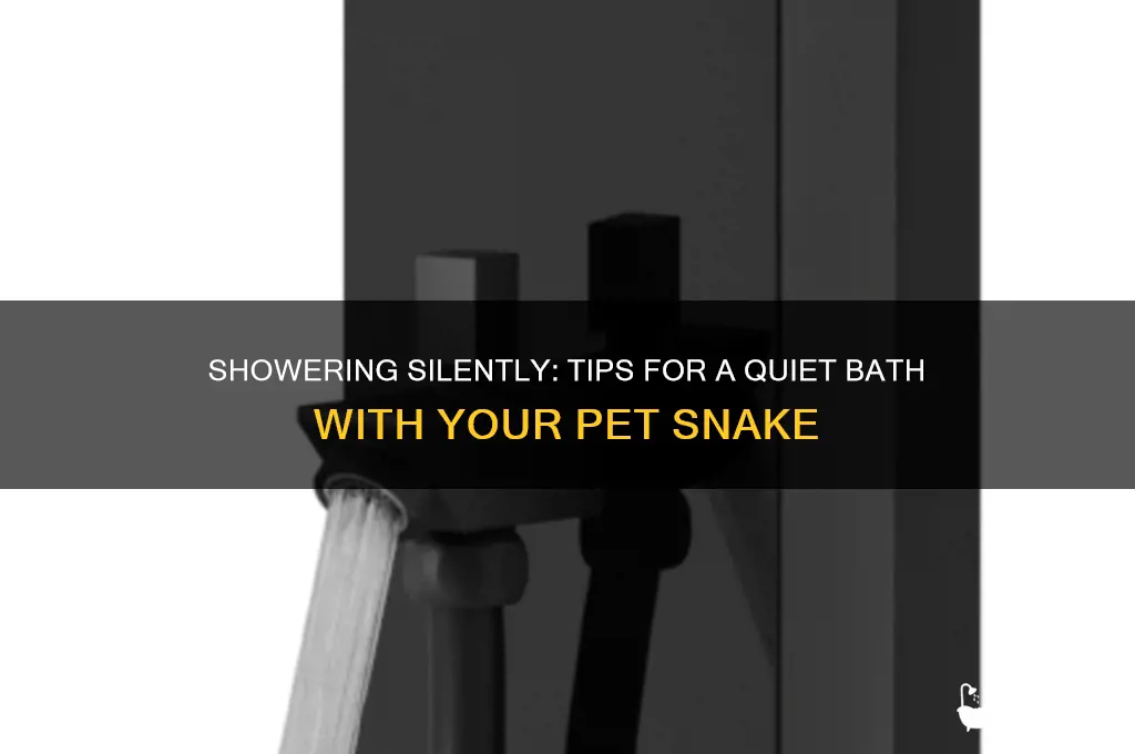 how to make quiet take a shower with sbake