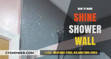 Revamp Your Shower: Tips for a Sparkling, Streak-Free Wall