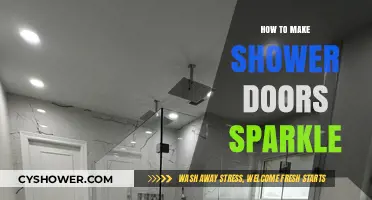 Revive Your Shower Doors: A Guide to Sparkling Cleanliness