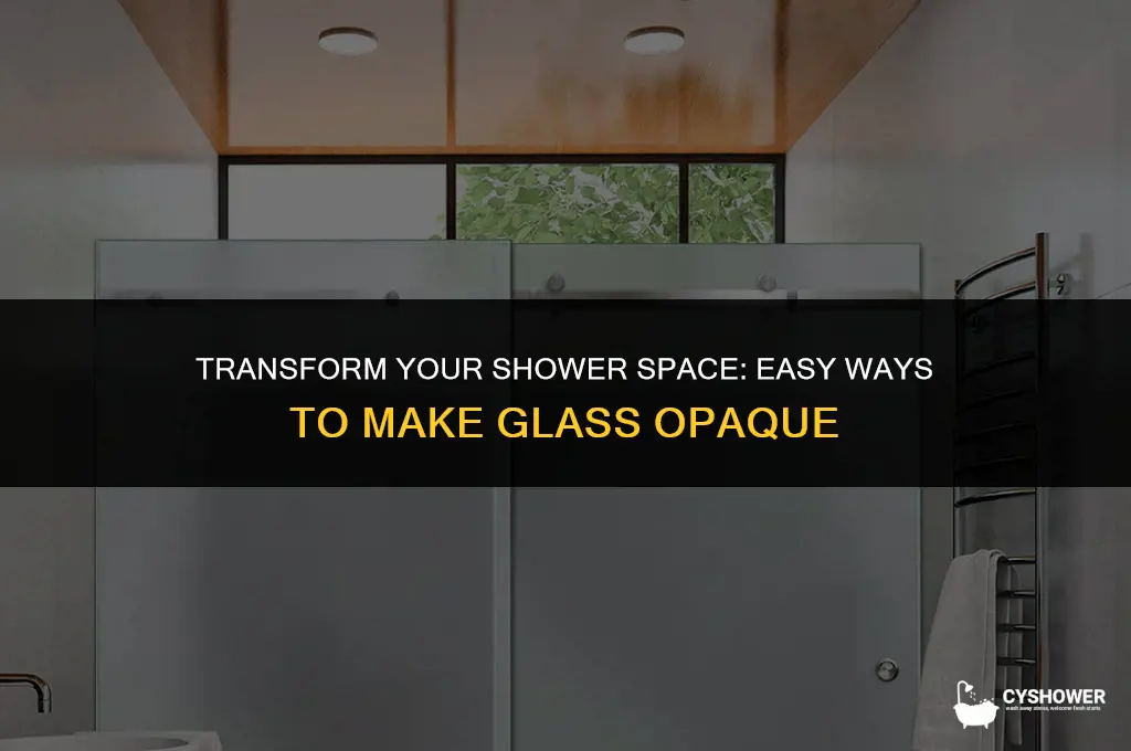 how to make shower glass opaque