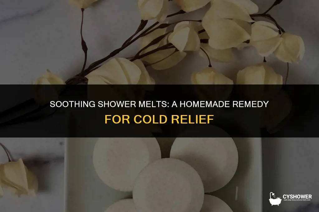 how to make shower melts for colds