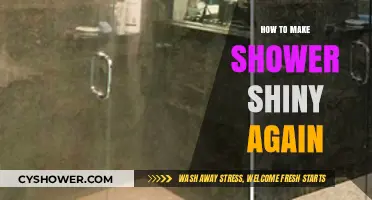 Revive Your Shower's Sparkle: A Guide to Restoring Shine