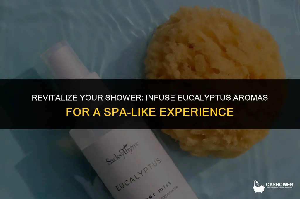 how to make shower smell like eucalyptus