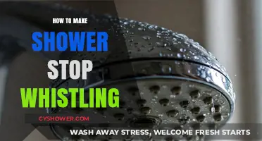 Silencing the Shower Symphony: A Guide to Stopping the Whistle