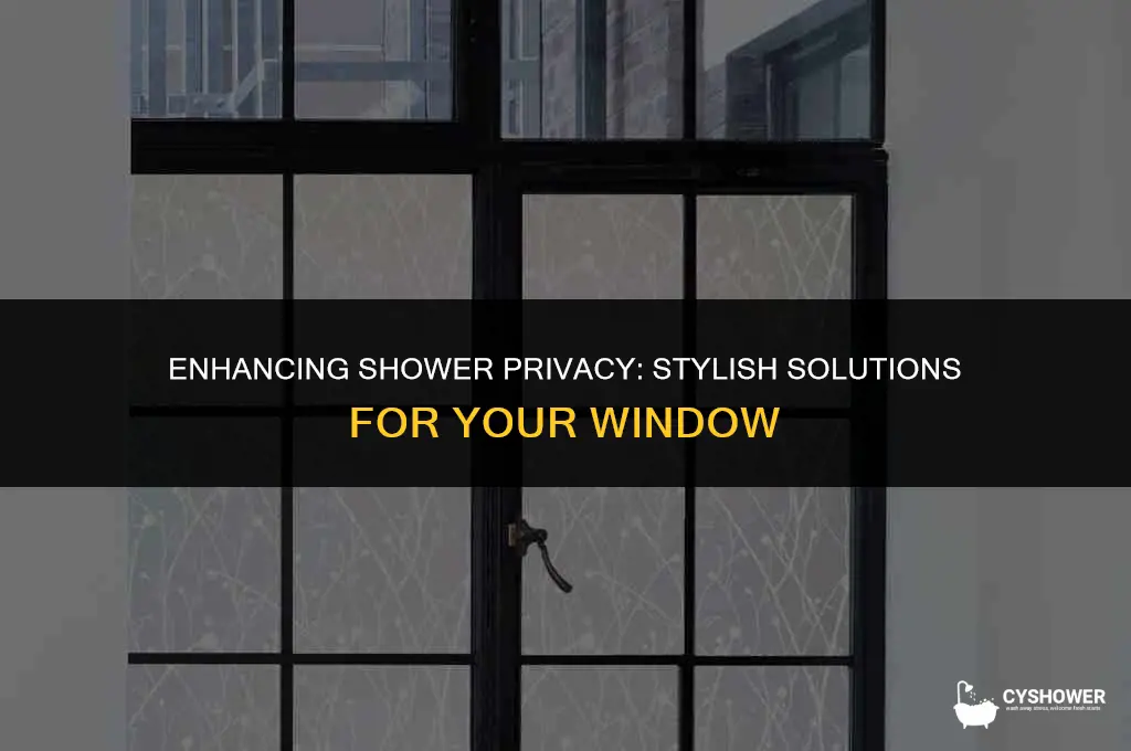 how to make shower window privacy