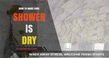 Ensure Your Shower Stays Dry: Tips and Tricks