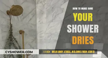 Ensure Your Shower Dries: Tips for a Fresh and Clean Bathroom