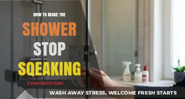 Silencing the Squeak: A Guide to a Quieter Shower Experience
