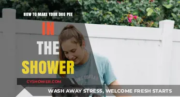 Shower Training for Dogs: A Guide to Potty Success