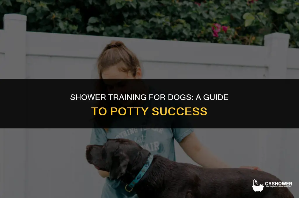 how to make your dog pee in the shower