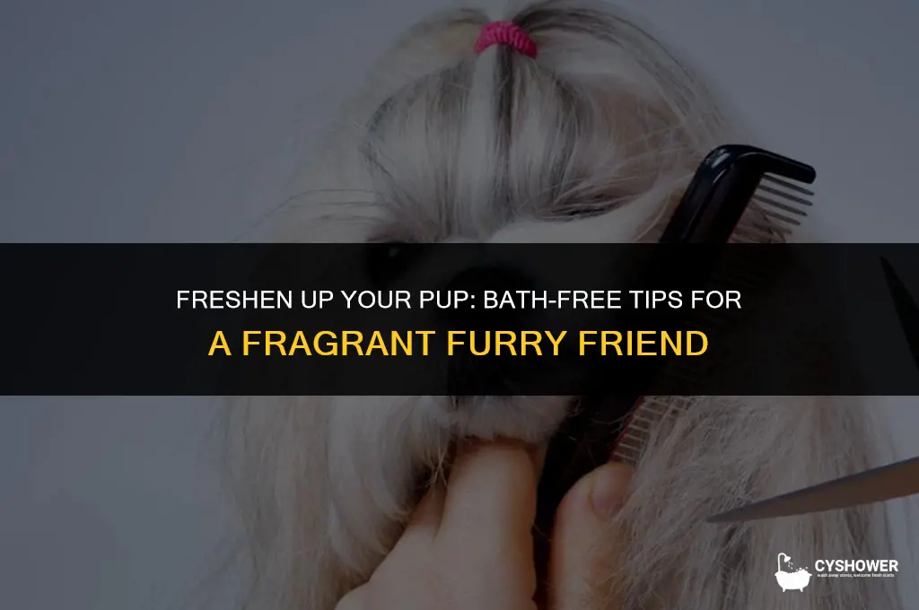 how to make your dog smell good without a shower