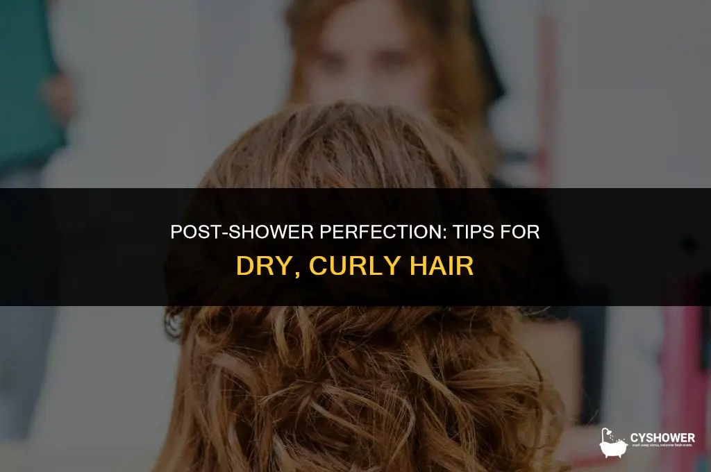 how to make your hair dry curly after a shower