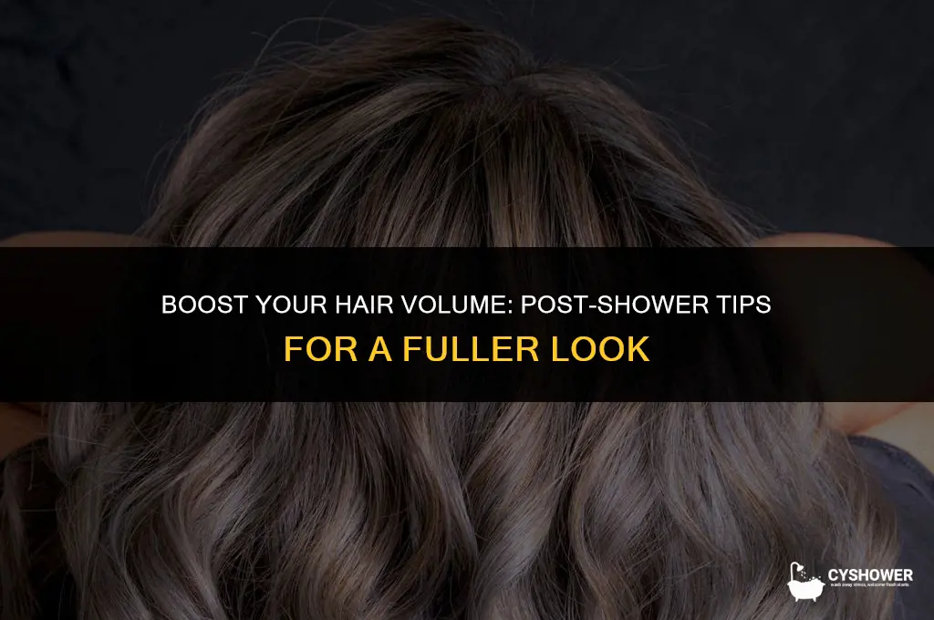 how to make your hair have volume after a shower