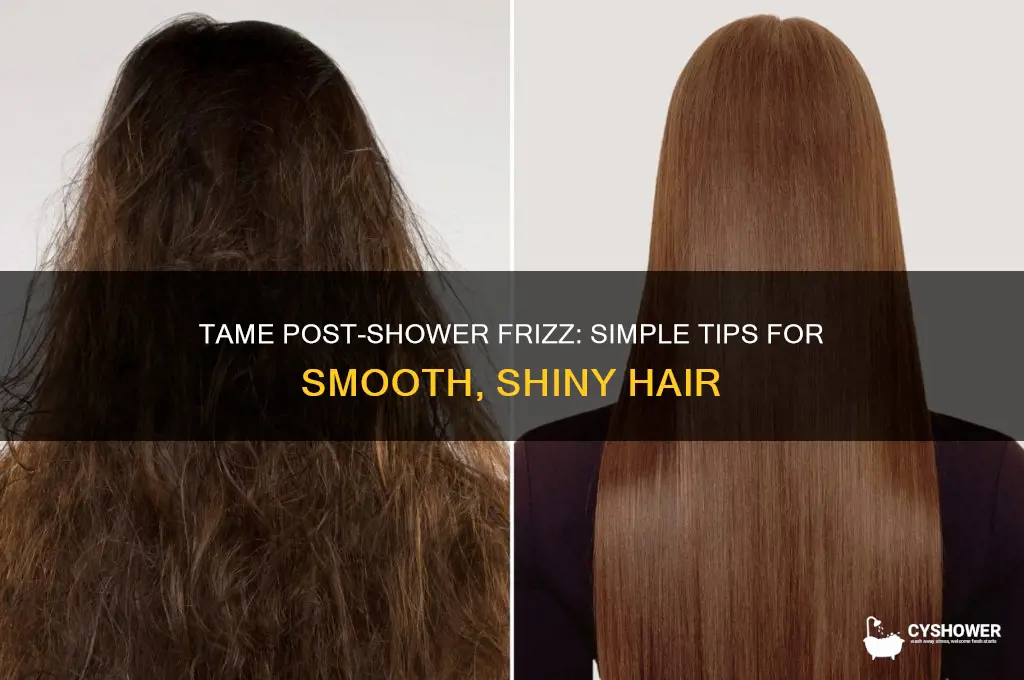 how to make your hair not frizzy after a shower