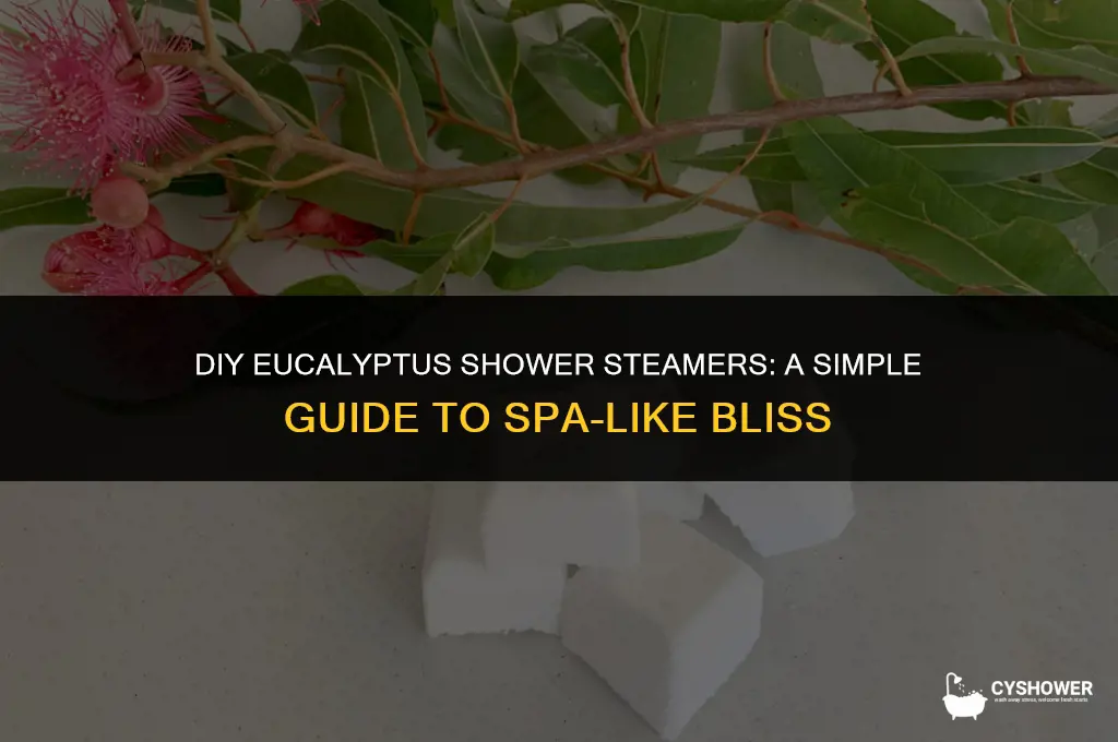 how to make your own eucalyptus shower steamers