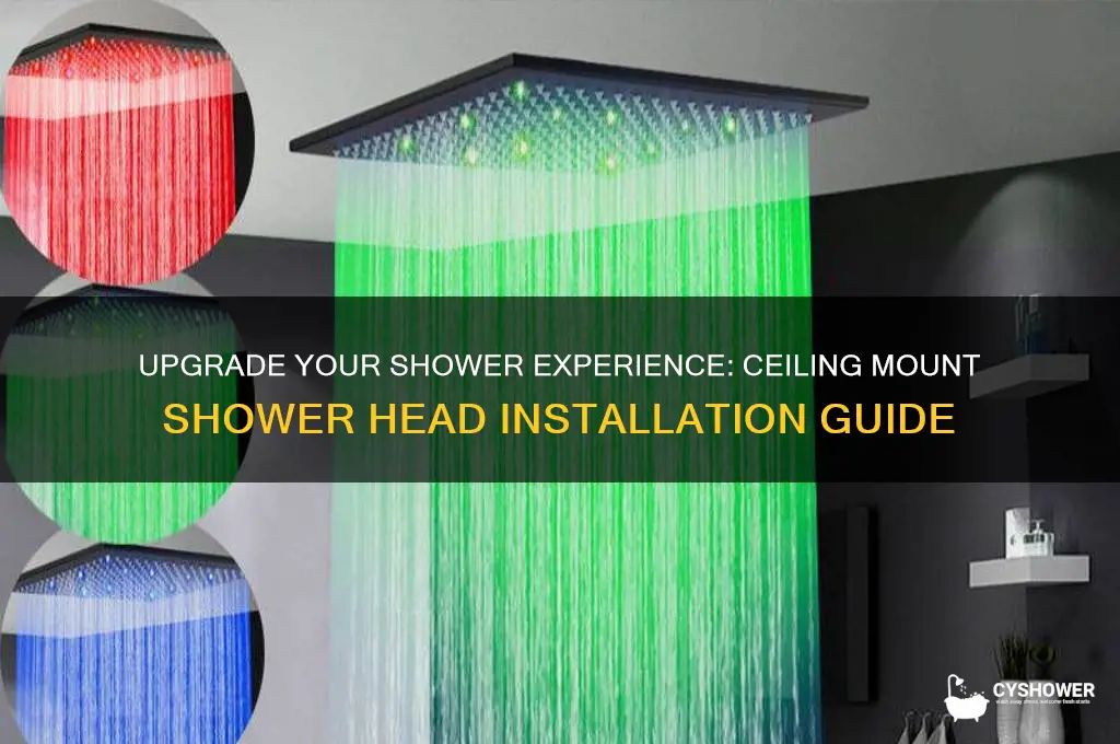 how to move shower head to ceiling