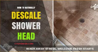 Effective Natural Methods to Descale Your Shower Head Easily