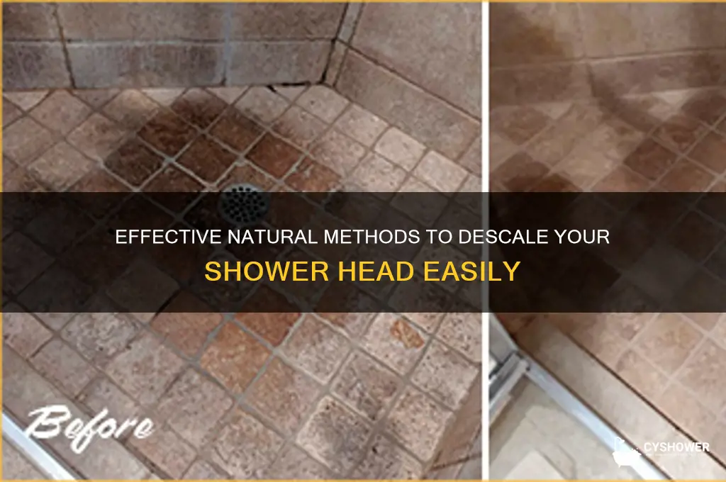 how to naturally descale shower head