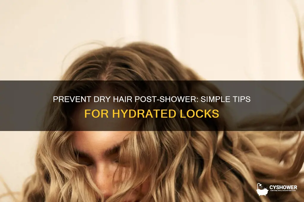 how to not get dry hair after shower