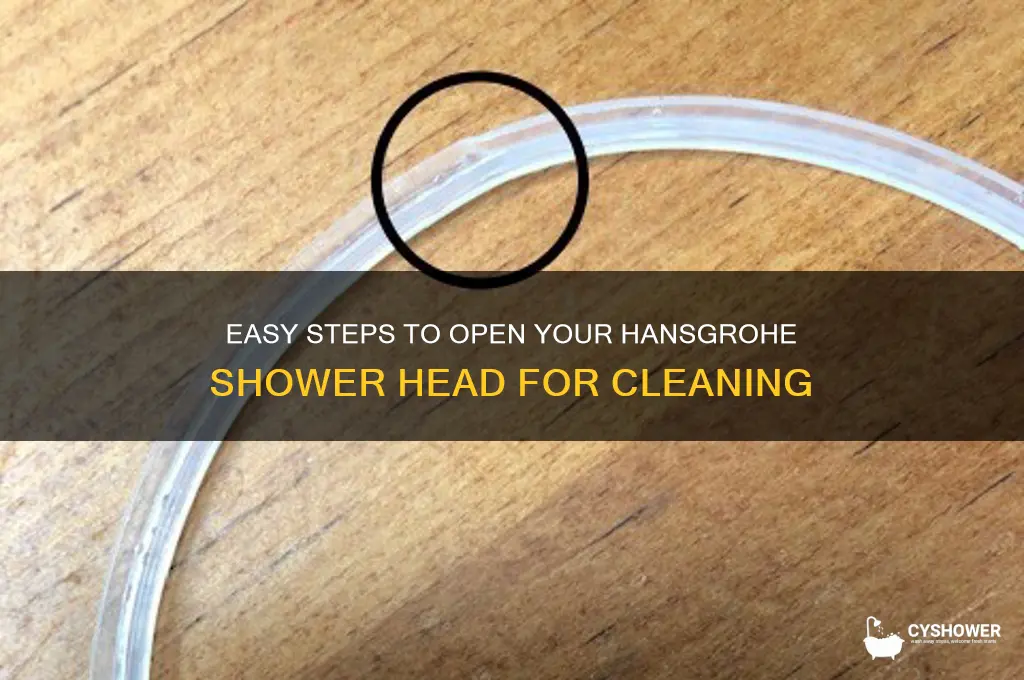 how to open hansgrohe shower head