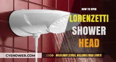Easy Steps to Open and Clean Your Lorenzetti Shower Head