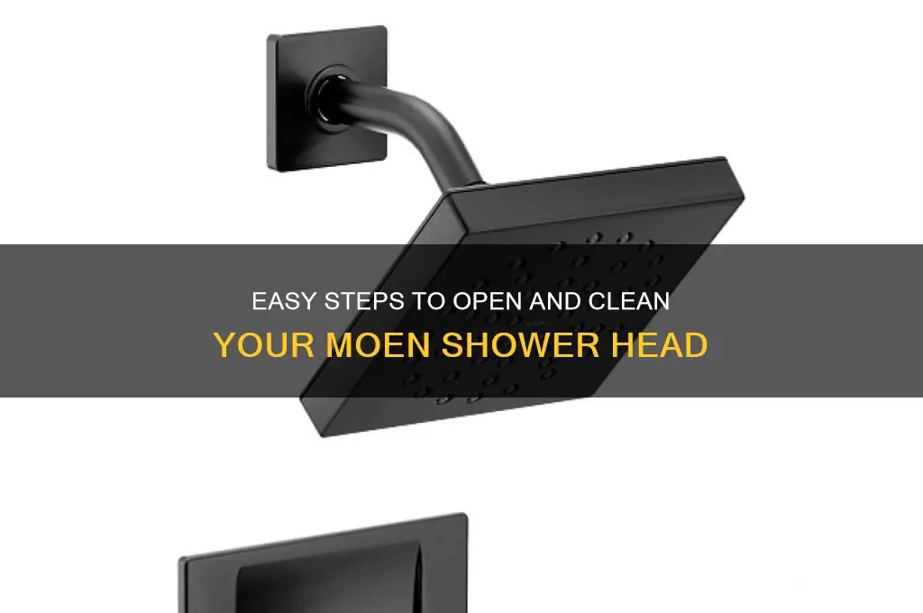 how to open moen shower head