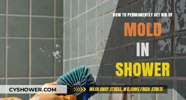 Effective Strategies to Permanently Eliminate Shower Mold for Good