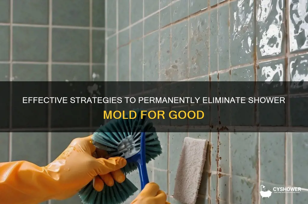 how to permanently get rid of mold in shower