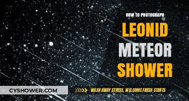 Capturing the Leonid Meteor Shower: Essential Photography Tips and Techniques