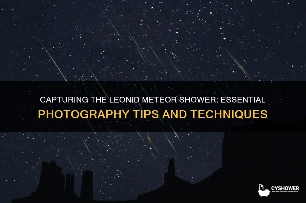 how to photograph leonid meteor shower