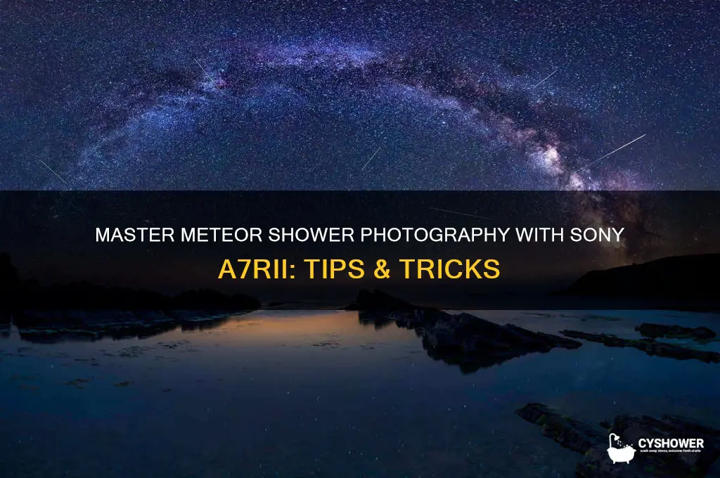 how to photograph meteor shower on sony a7rii