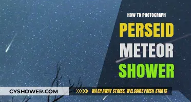 Capture the Perseid Meteor Shower: Expert Tips for Stunning Night Sky Photography