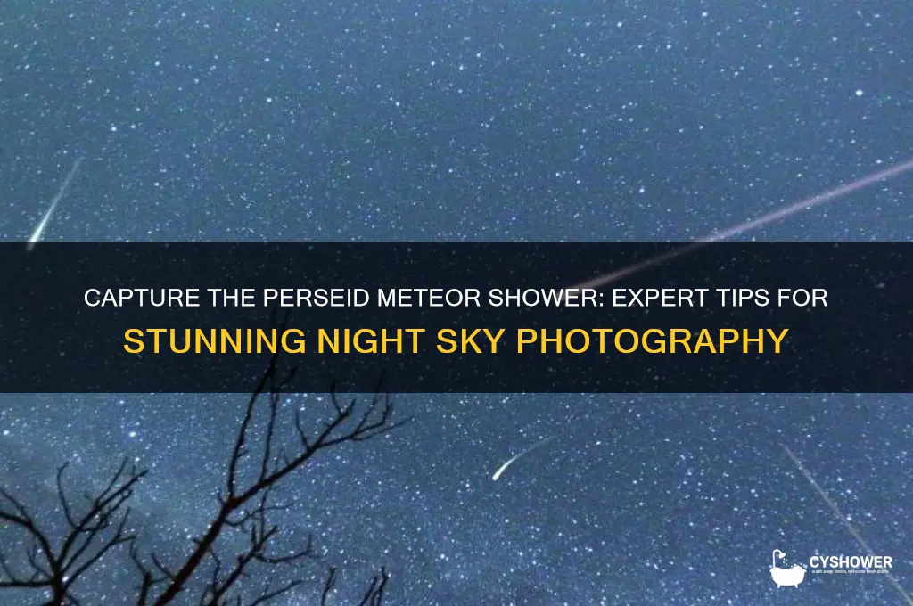 how to photograph perseid meteor shower
