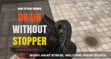 Quick Fixes: Plugging Your Shower Drain Without a Stopper