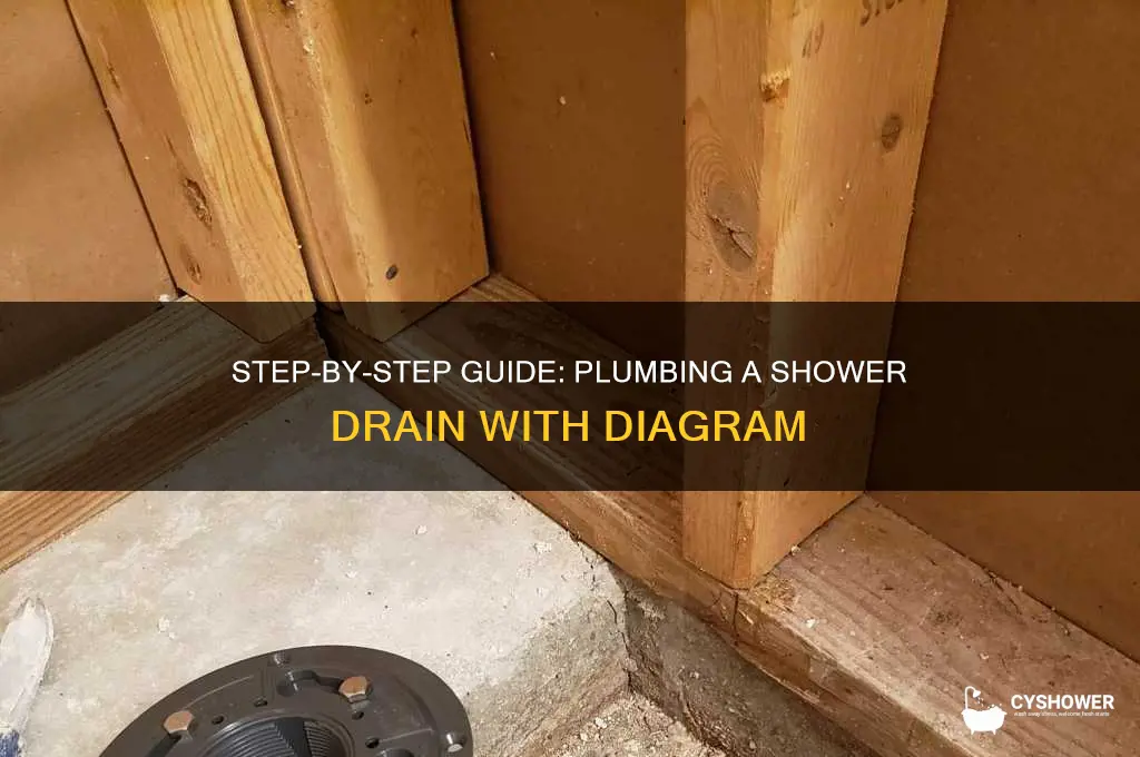 how to plumb a shower drain diagram