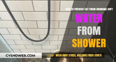 Prevent Your Cat from Drinking Shower Soft Water: Effective Tips