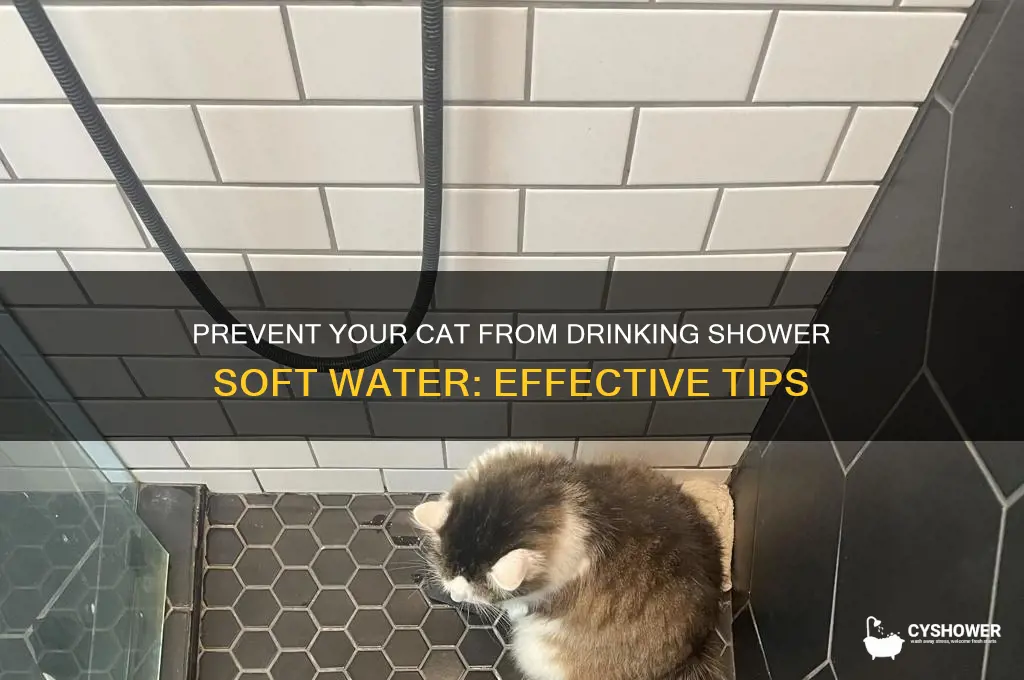how to prevent cat from drinking soft water from shower
