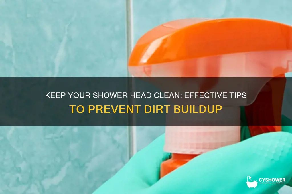 how to prevent dirt getting in shower head