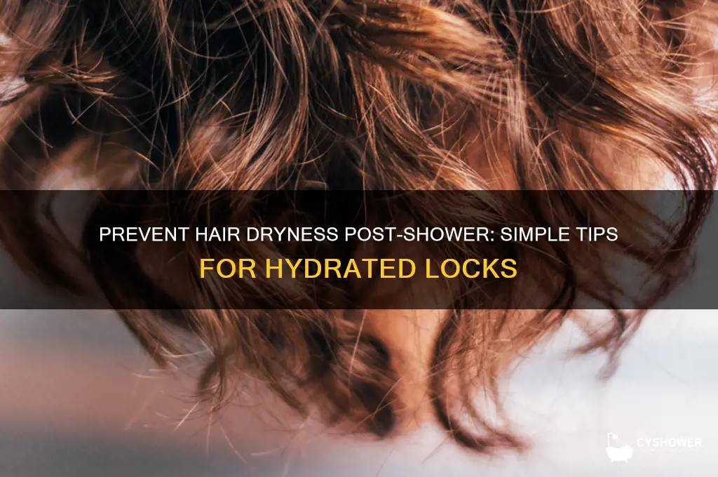 how to prevent hair dryness after shower