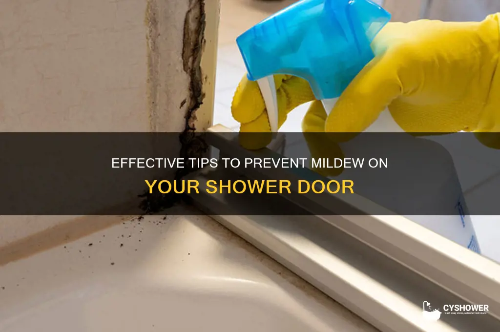 how to prevent mildew on shower door