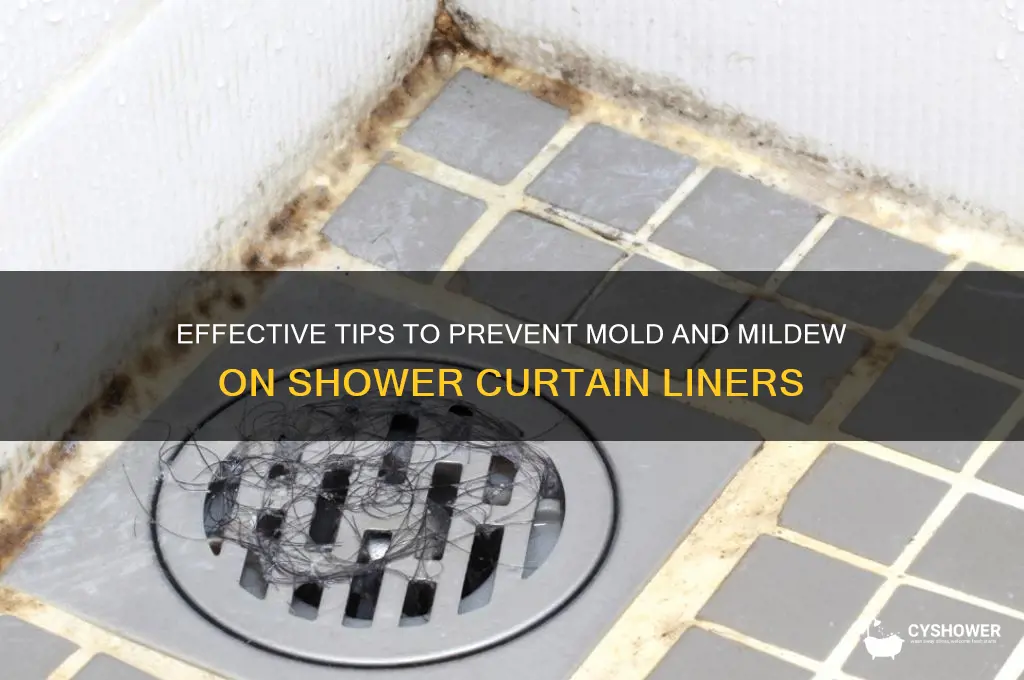 how to prevent mold and mildew on shower curtain liner