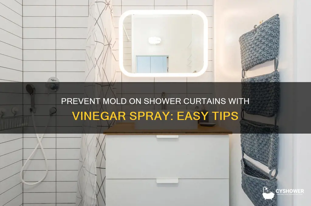 how to prevent mold on shower curtain vinager spray